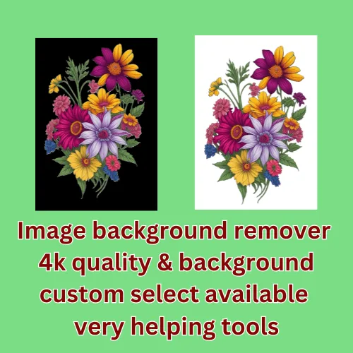 image-background-remover-4k